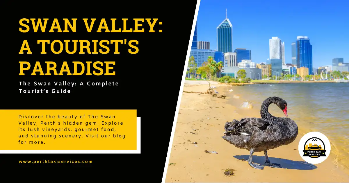 The Swan Valley: A Complete Tourist’s Guide