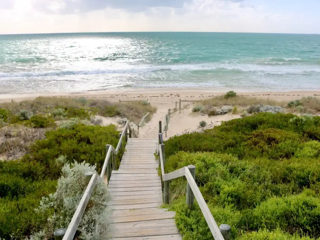 Enjoy a Scenic Drive Along the Coast