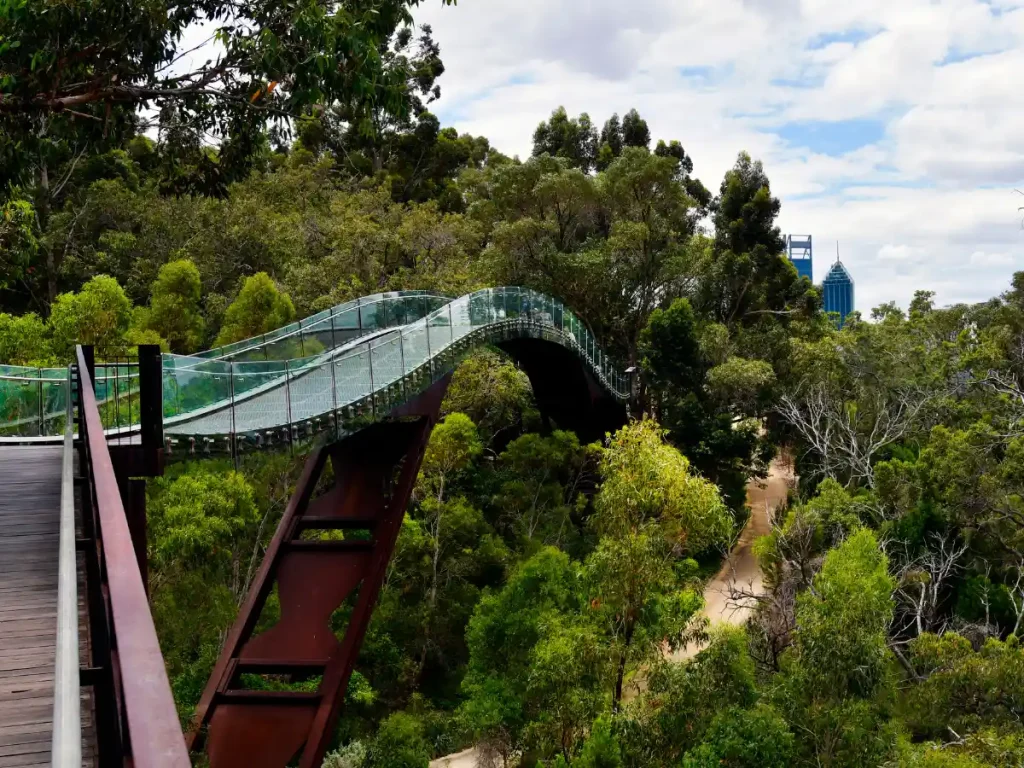 Explore Kings Park and Botanic Garden