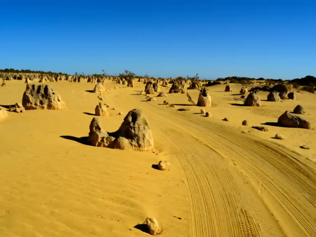 Road Trip to Pinnacles Desert