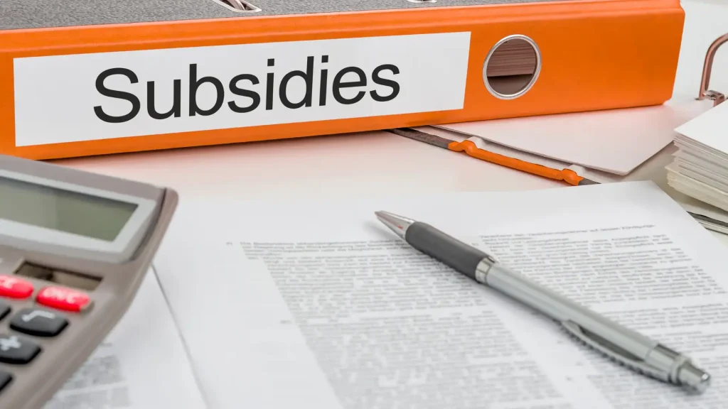 Subsidies